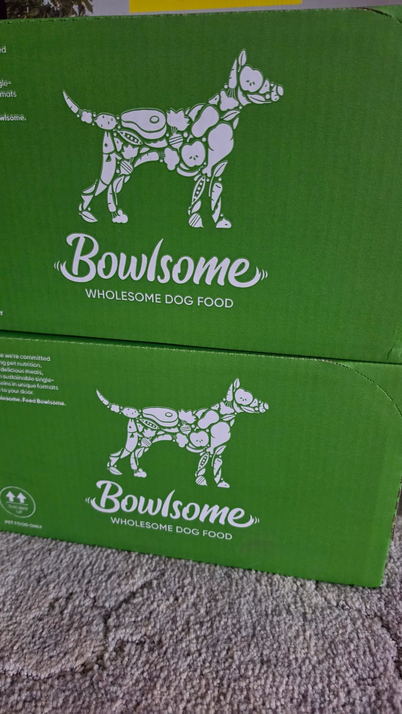 Customer photo review of Chicken Bics Premium Dry Food