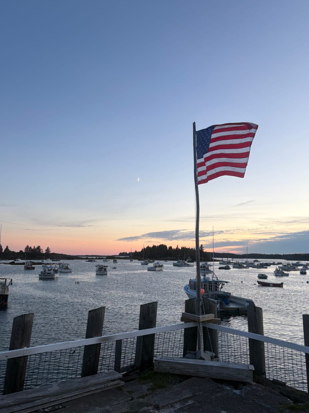 Customer photo review of 4' x 6' American Flag