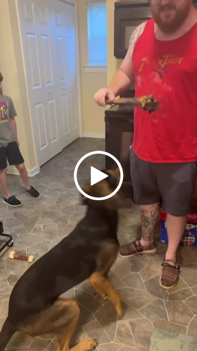 Customer video review of Ostrich Long Tendon (16" x 2.5" x 1"): The Satisfying, All-Natural Chew for Dental Health & Joint Support