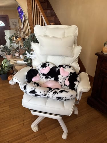 Customer photo review of Executive Home Office Series
