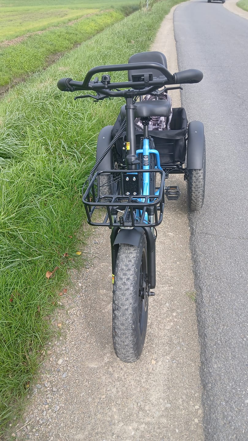 Customer photo review of Eskute T302 Pro Cargo E-Bike