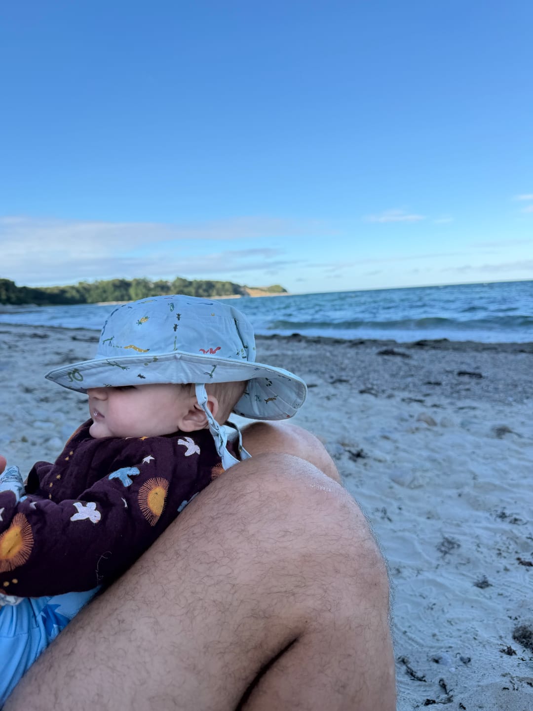 Customer photo review of Flying Birds Quilted Sweatshirt