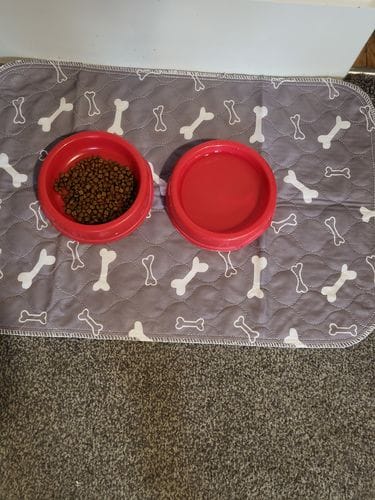 Customer photo review of SniffPad Almohadilla con Feromonas para Perros
