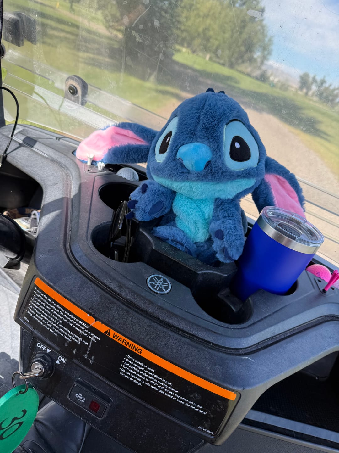 Customer photo review of Stitch Floppy Ears | Driver Cover
