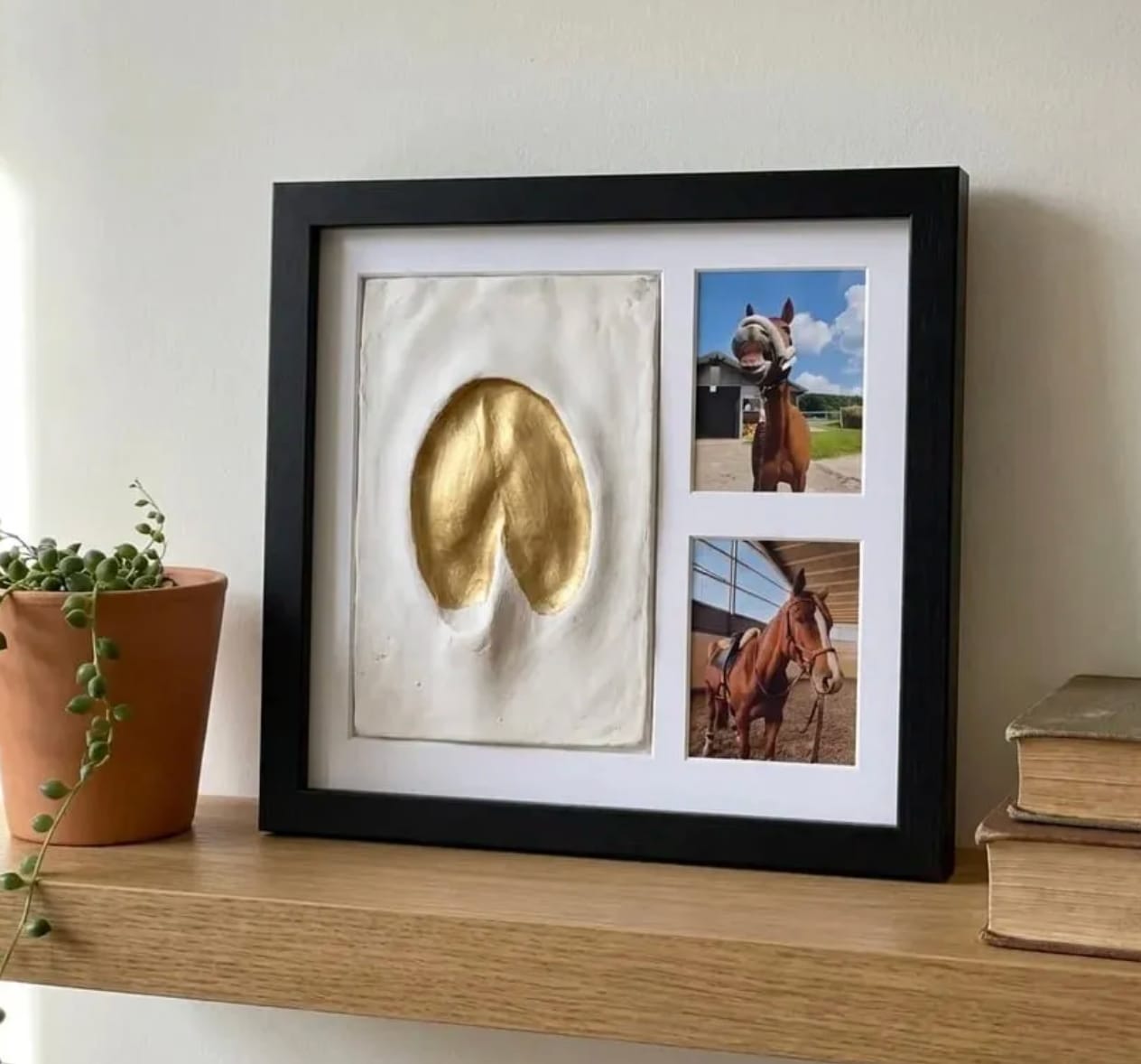 Customer photo review of Hoofmark™  Clay Hoofprint Frame