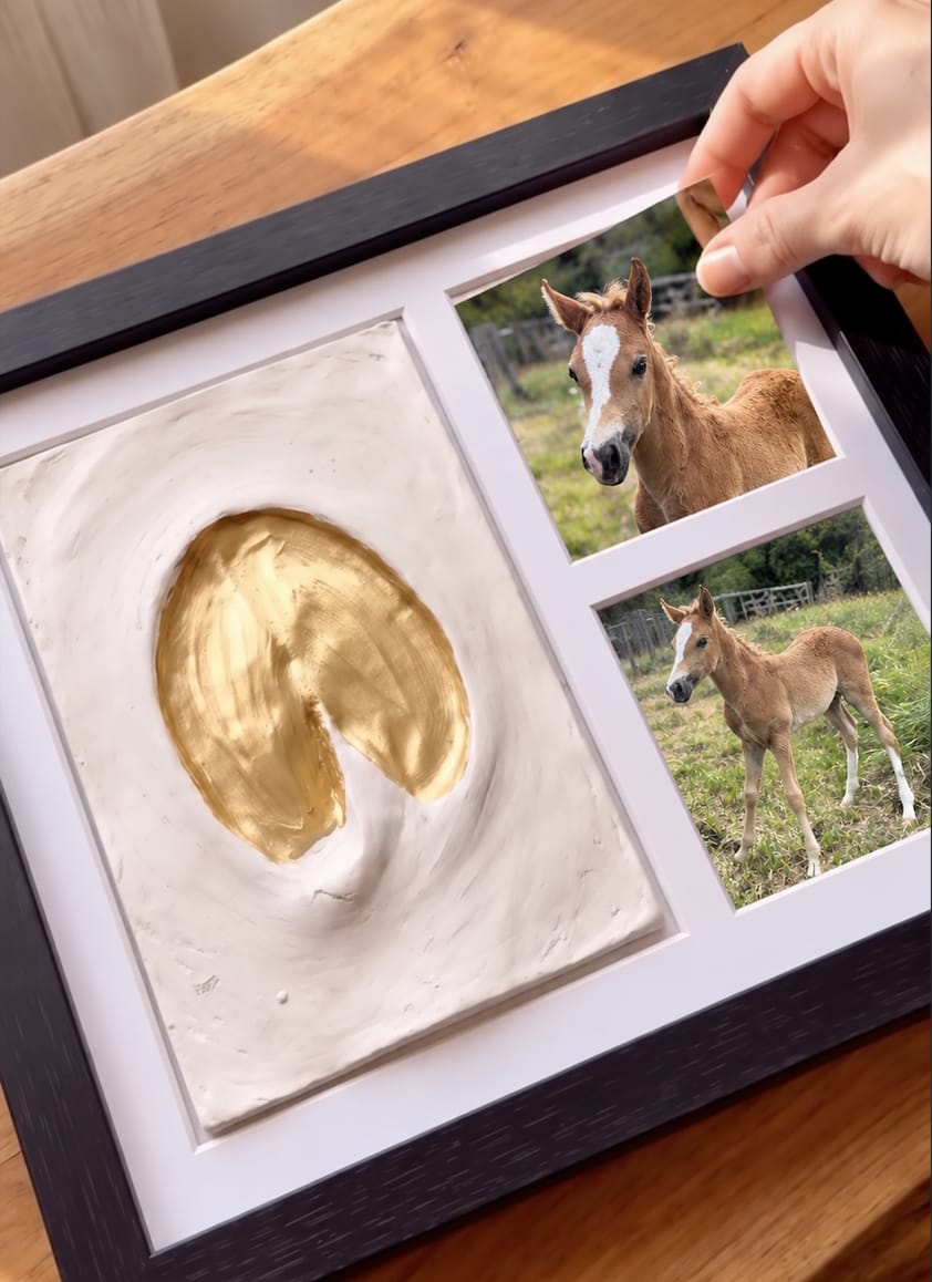 Customer photo review of Hoofmark™  Clay Hoofprint Frame