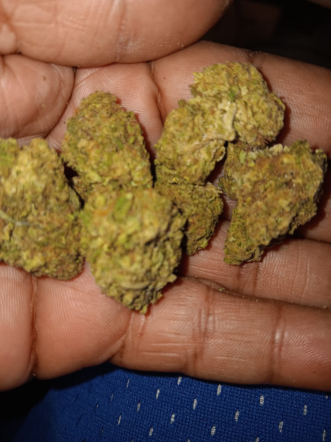 Customer photo review of Gotti OG THCA Don Flower