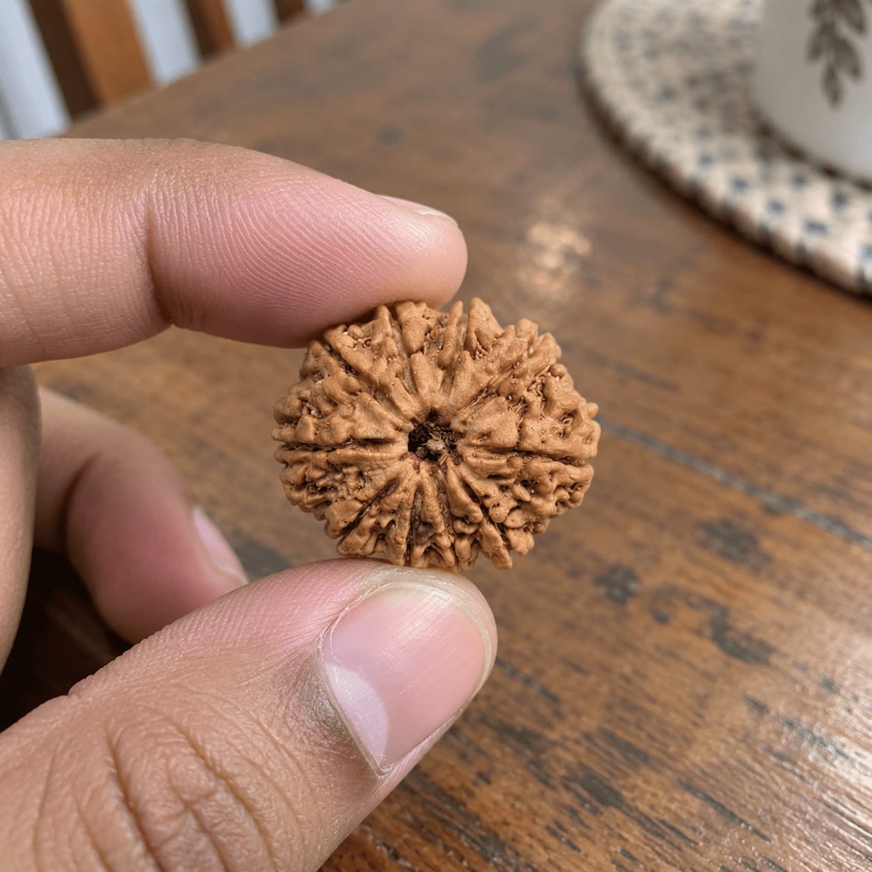 Customer photo review of 10 Mukhi Rudraksha (Nepali)