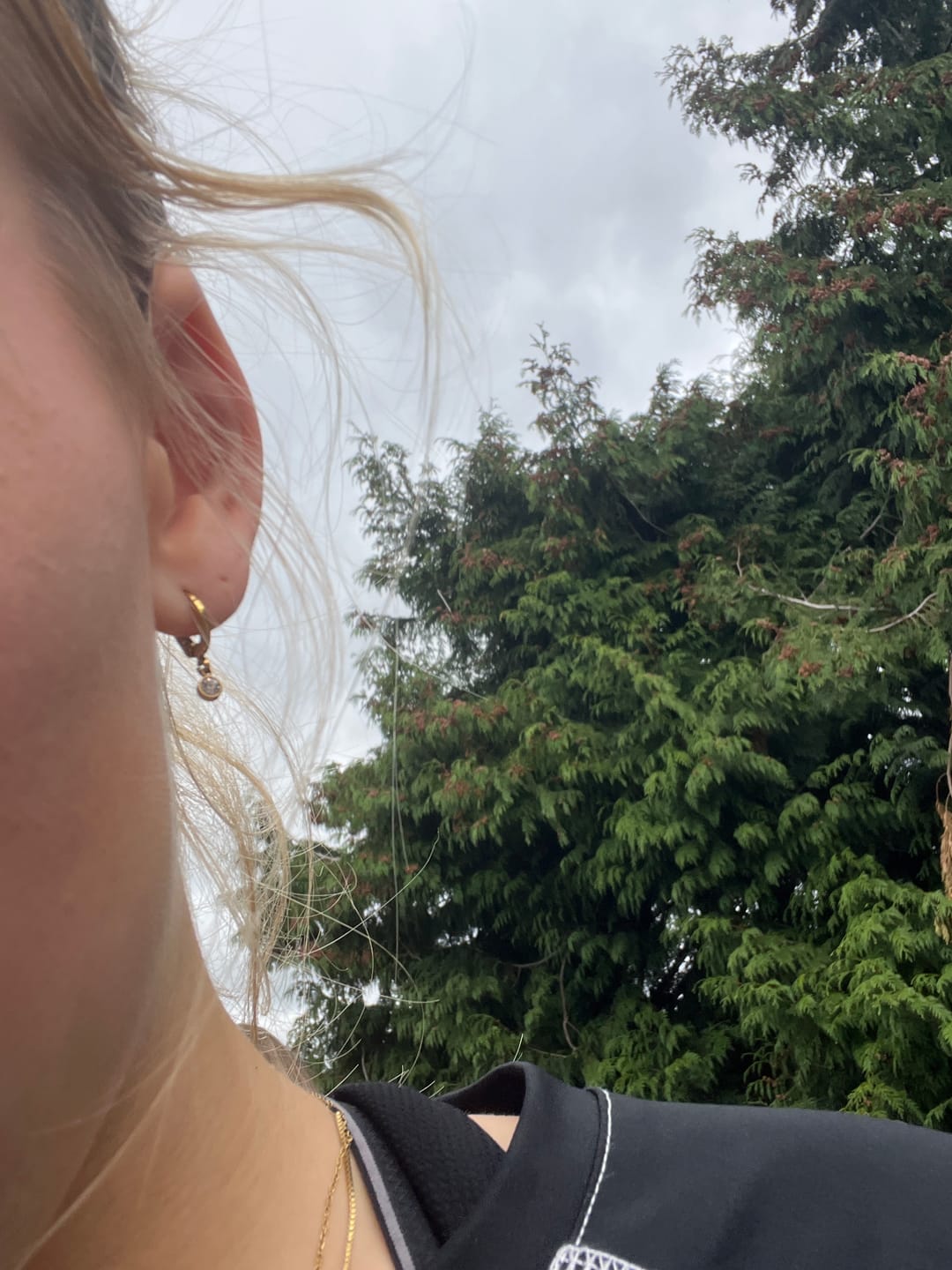 Customer photo review of Molly Gold Crystal Huggie Earrings