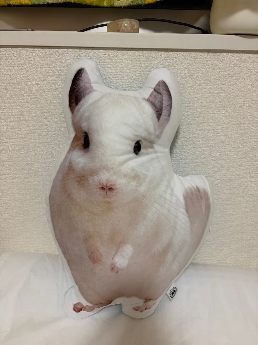 Customer photo review of 世界にひとつだけ♪好きな写真で作るオーダーメイドクッション（20～80cm）