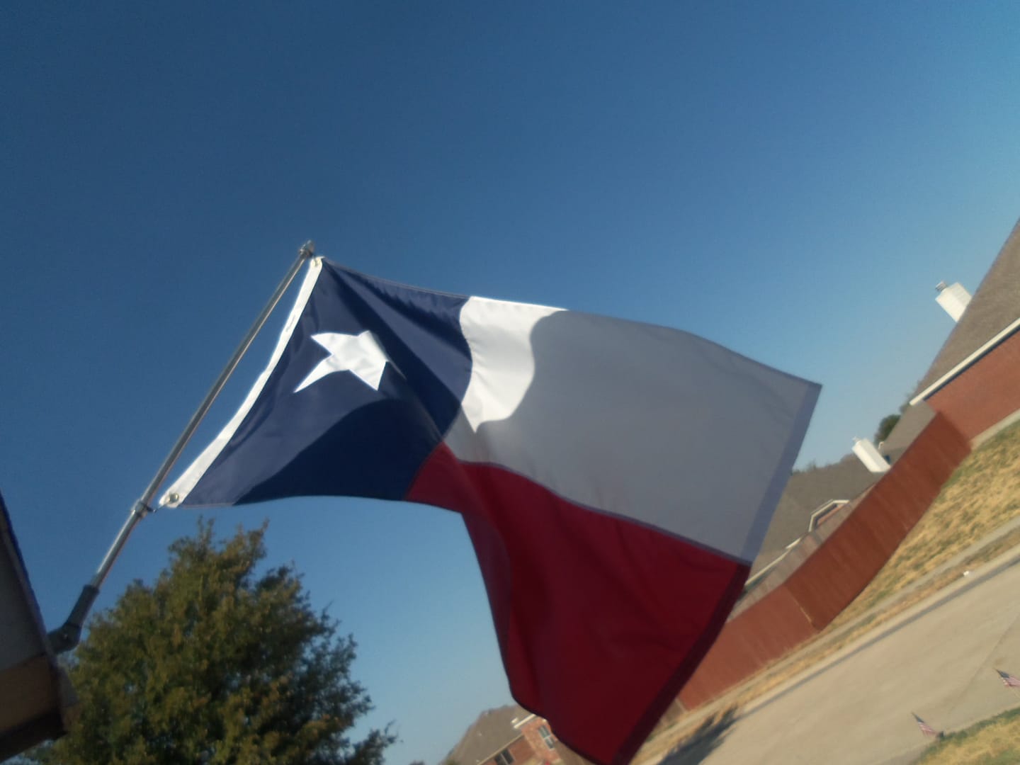 Customer photo review of 3' x 5' Texas Flag