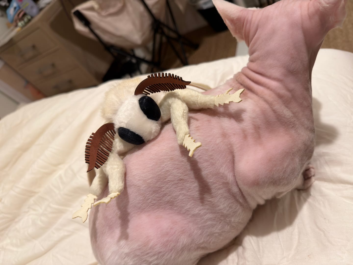 Customer photo review of Silkworm Moth Soft Stuffed Plush Toy