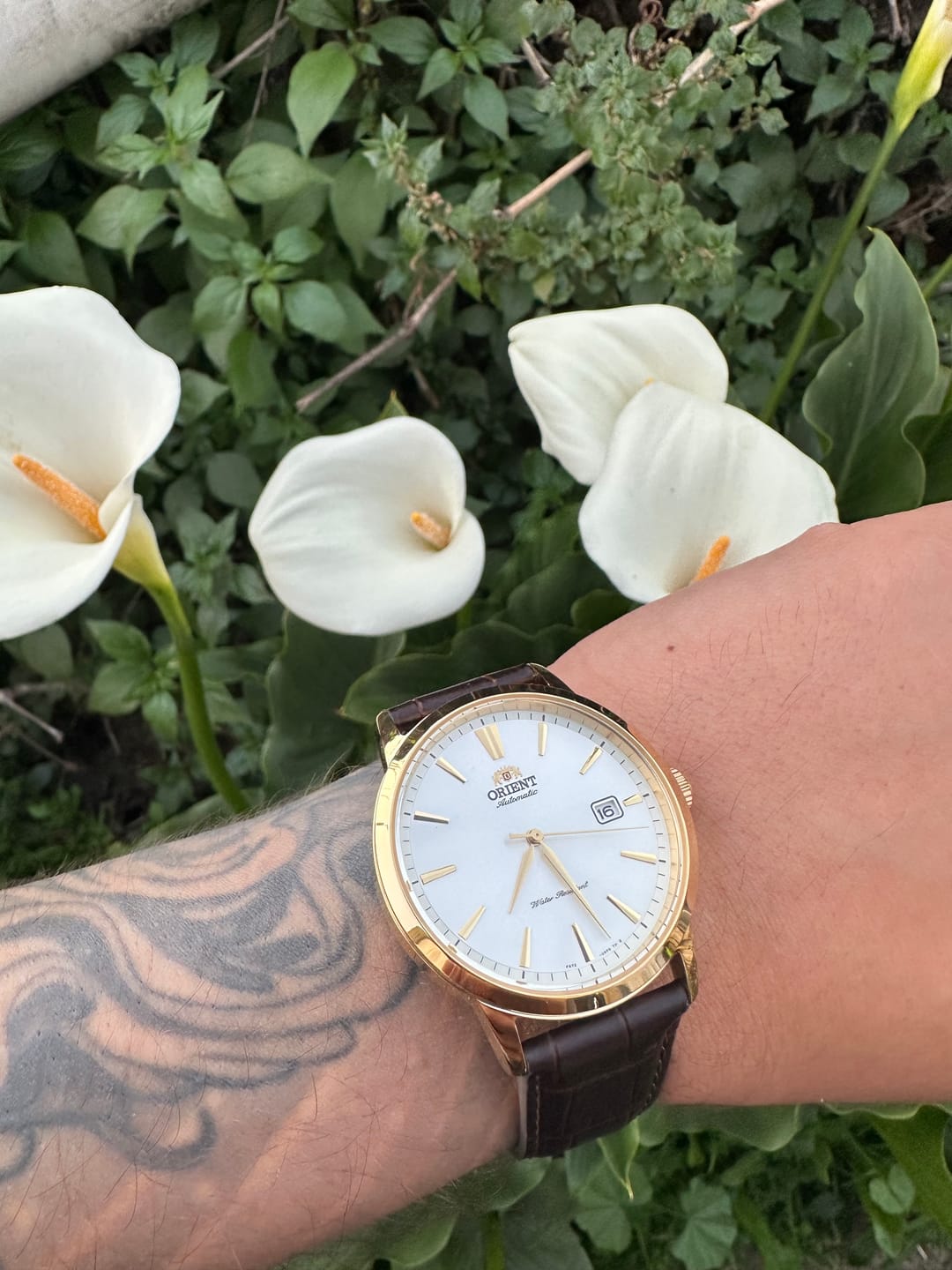Customer photo review of Reloj Orient Automatic RA-AC0F04S Contemporary 41.6mm