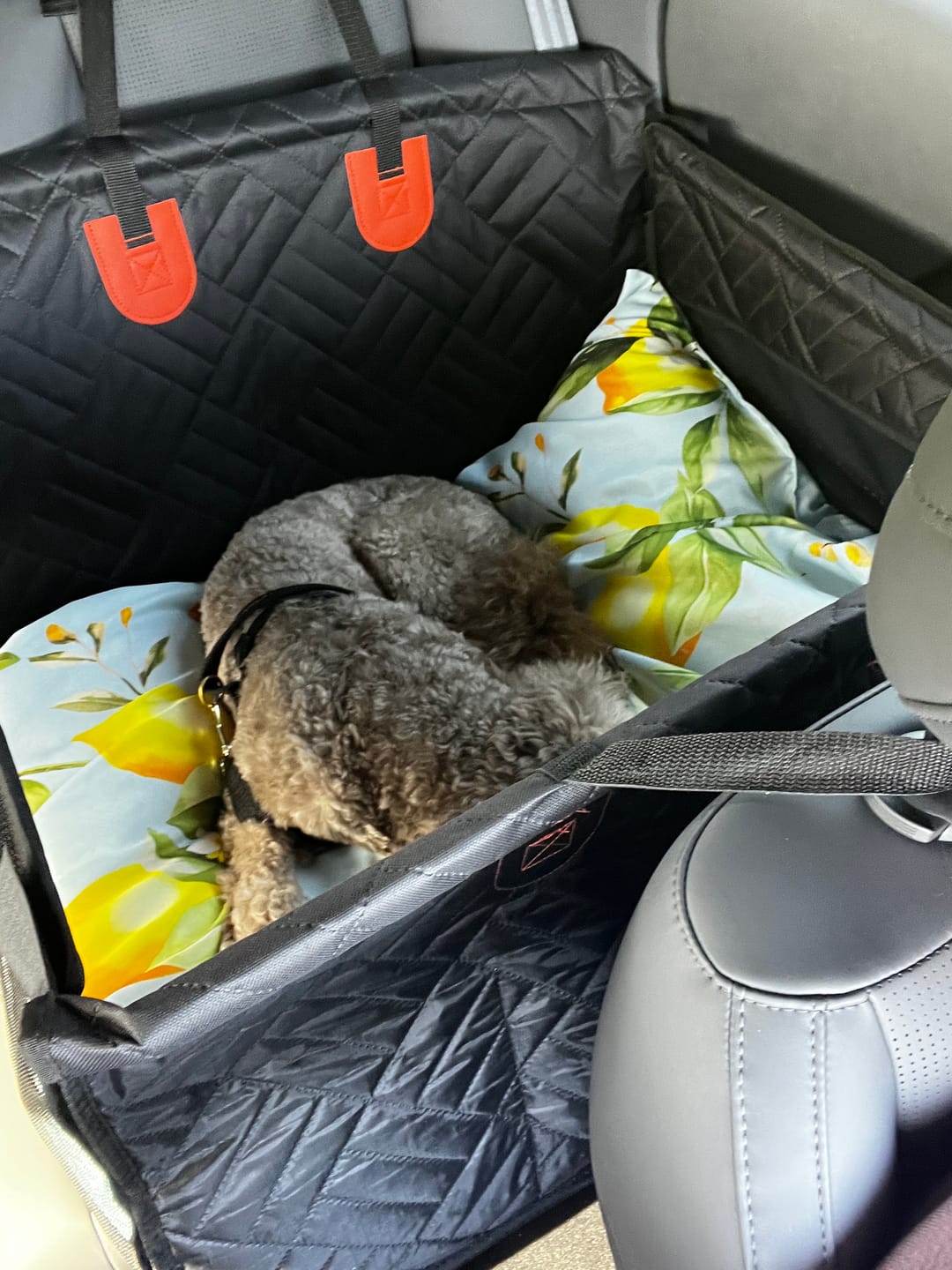 Customer photo review of Pawfort - Waterdicht Harde Bodem Honden Achterbankverlenger