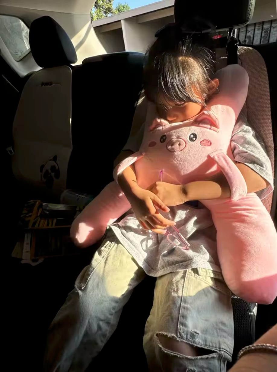 Customer photo review of CuddleRest — Kids Travel Cuddle Buddy