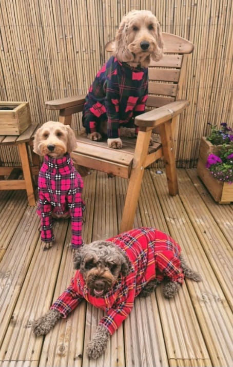 Customer photo review of Pink Checkered Anti Pill Polar Fleece Fabric