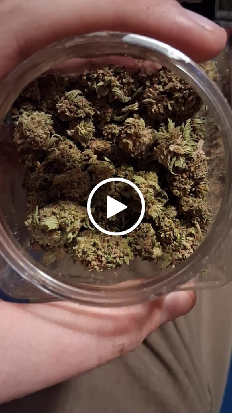 Customer video review of Boss Crazy - 5OZ Special for $99.99