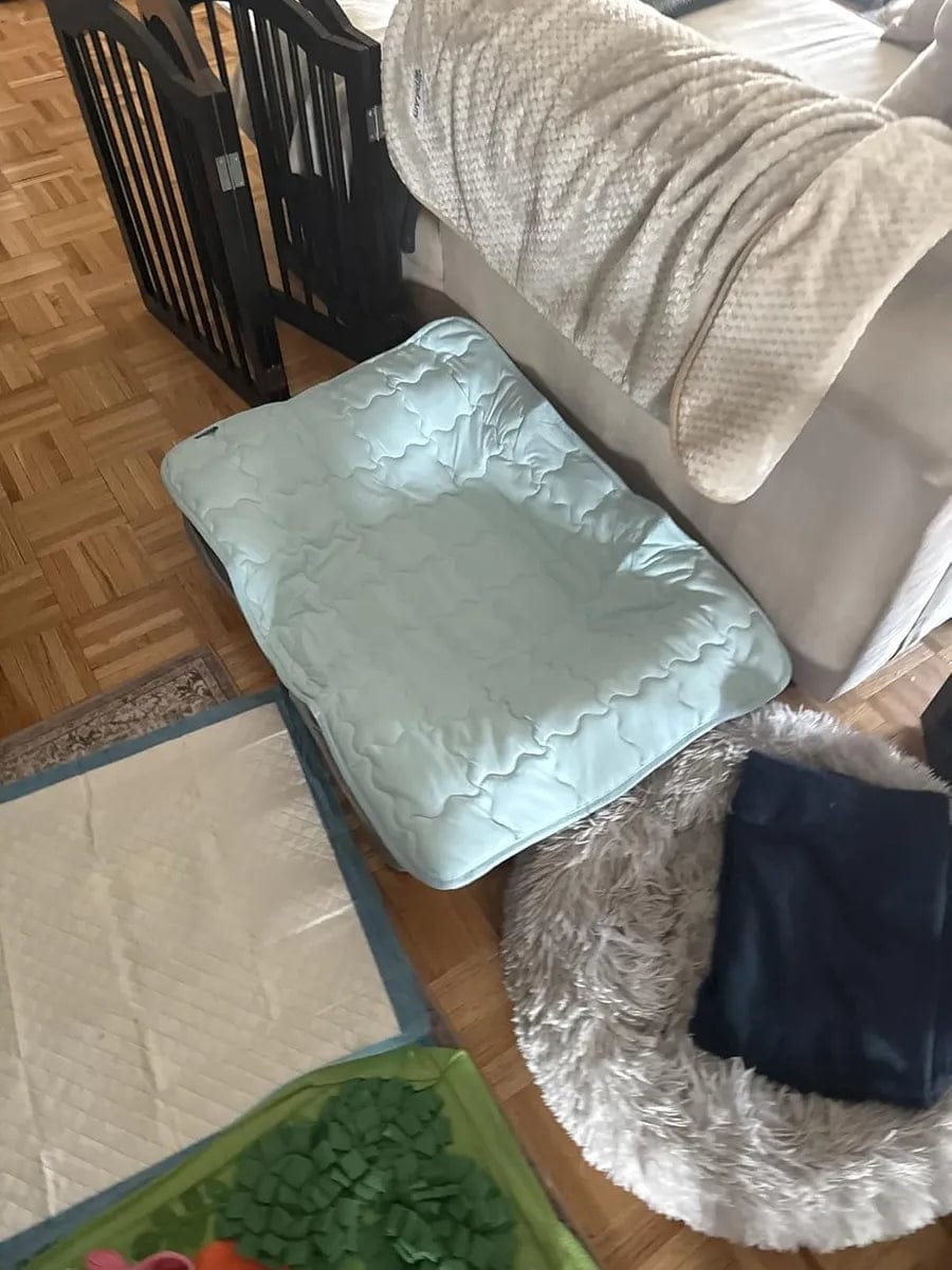 Customer photo review of Dog Cooling Mat