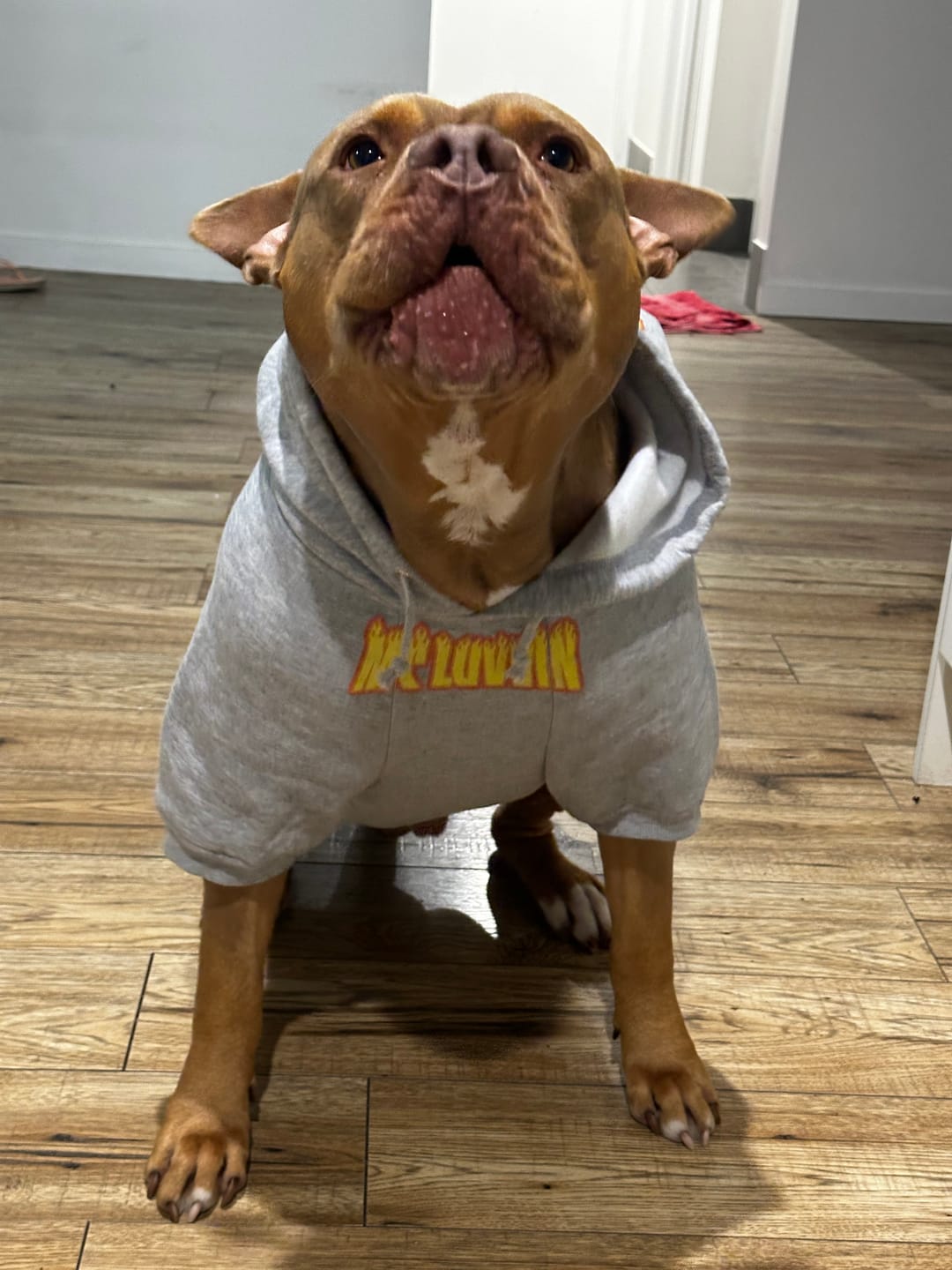 Customer photo review of Personalised Thrasher Font Dog Hoodie 🔥