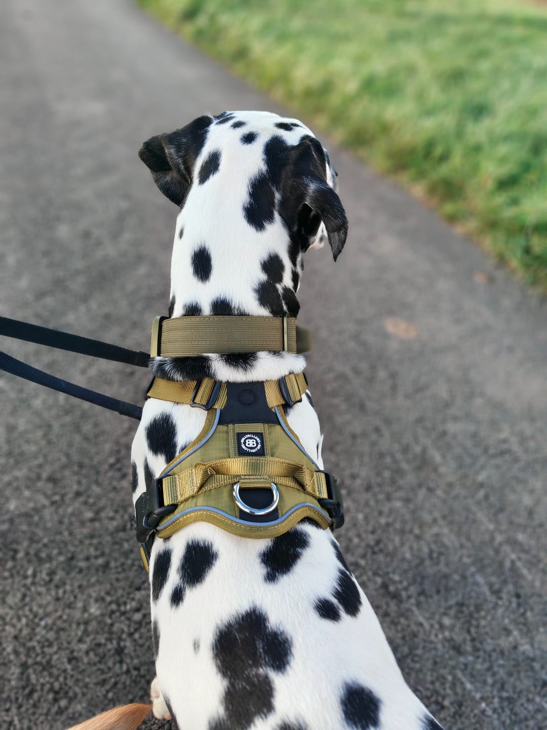 Customer photo review of Anti Pull Hurricane Harness Lighter | With Handle - Olive Green