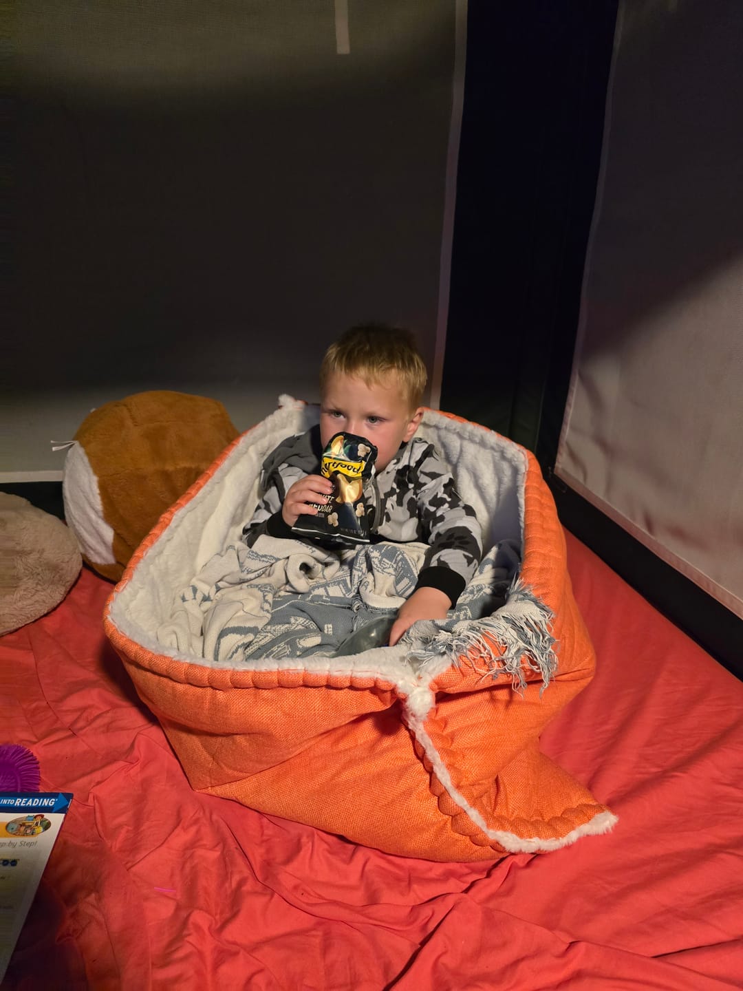 Customer photo review of The Original Koala Nest