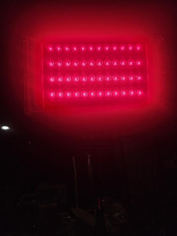 Customer photo review of Lumyhealth Red and Infrared Light Therapy Lamp（Panel）With Stand