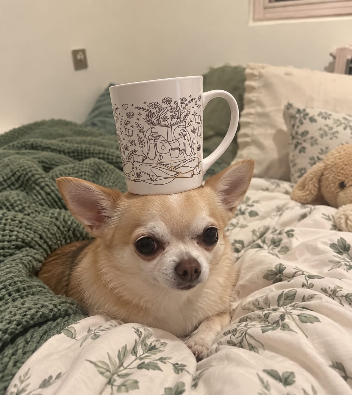 Customer photo review of Lost in the Pages Latte Mug