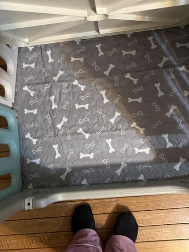 Tapete SniffPad cubriendo el piso de un corral para perros