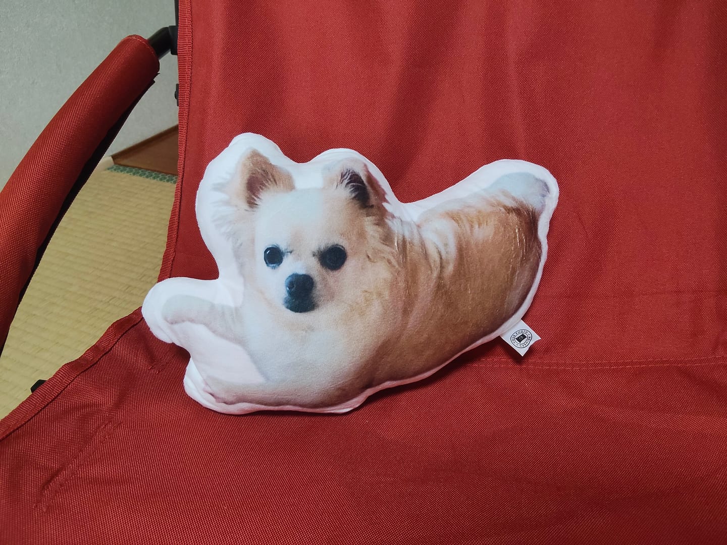 Customer photo review of 世界にひとつだけ♪好きな写真で作るオーダーメイドクッション（20～80cm）