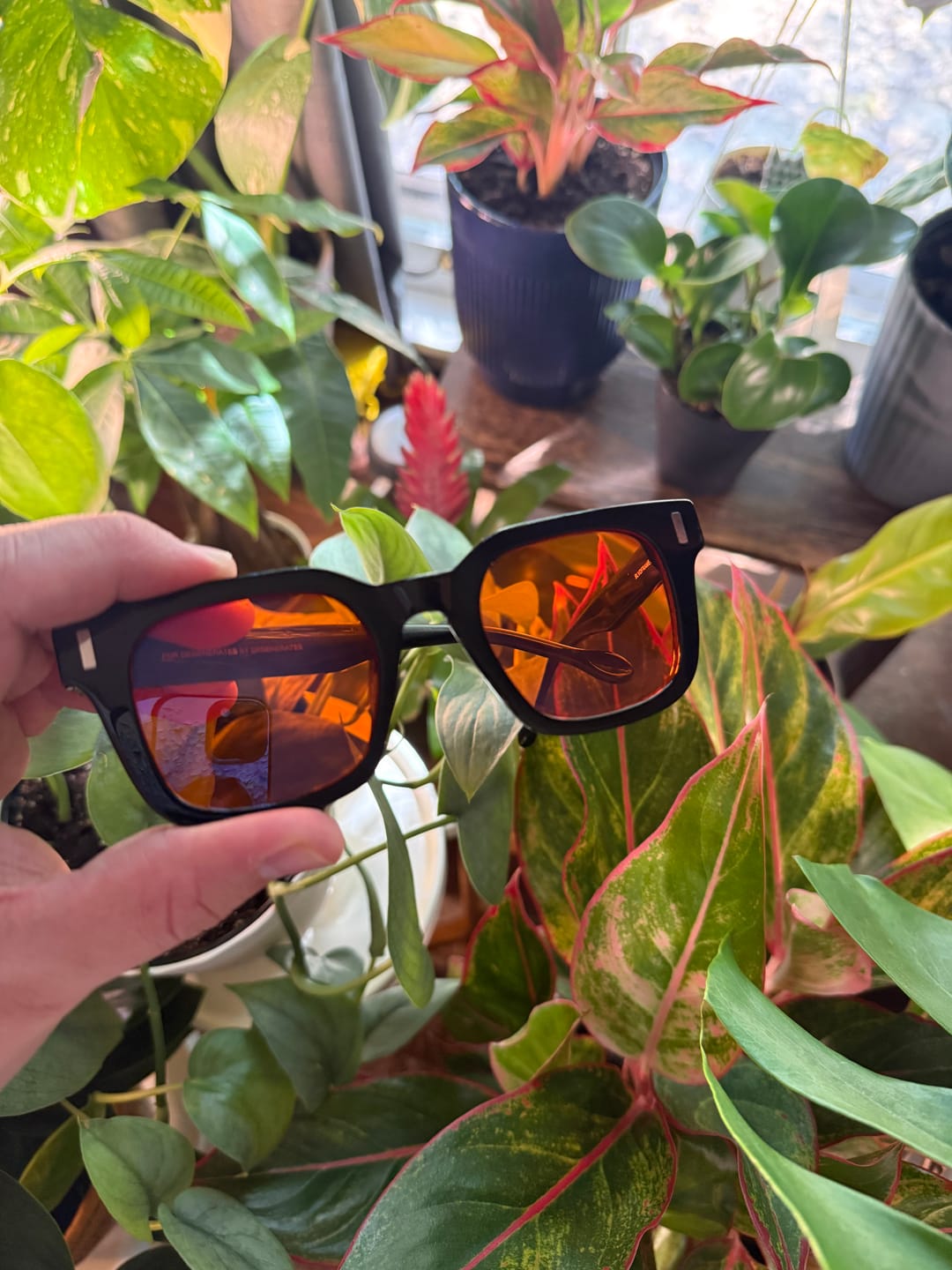 Customer photo review of THE ASTON BLUE LIGHT BLOCKERS 2.0