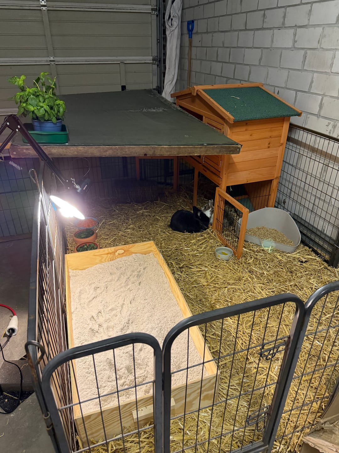 Customer photo review of Elmato Mega Buddelkiste für Kaninchen XXL