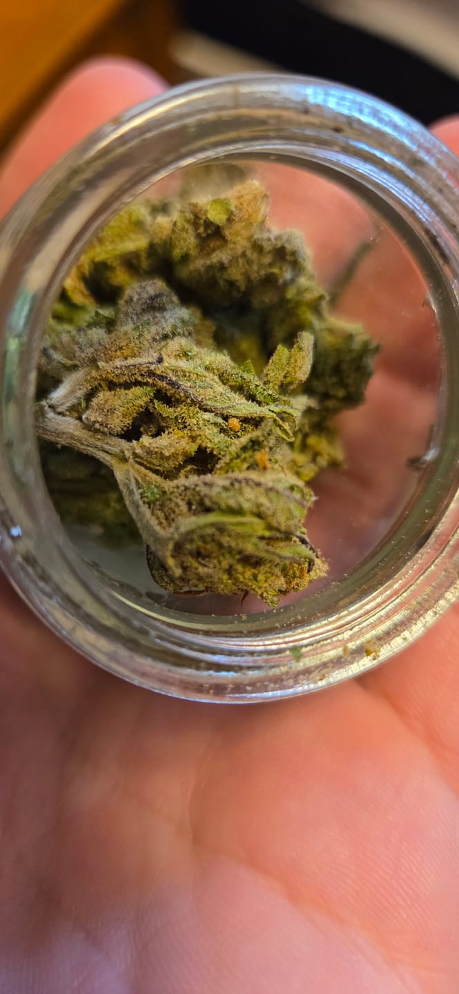 Customer photo review of Blueberry Zkittlez - 28 Grams - Indica