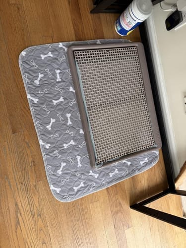 Tapete SniffPad gris debajo de una bandeja sanitaria para perros