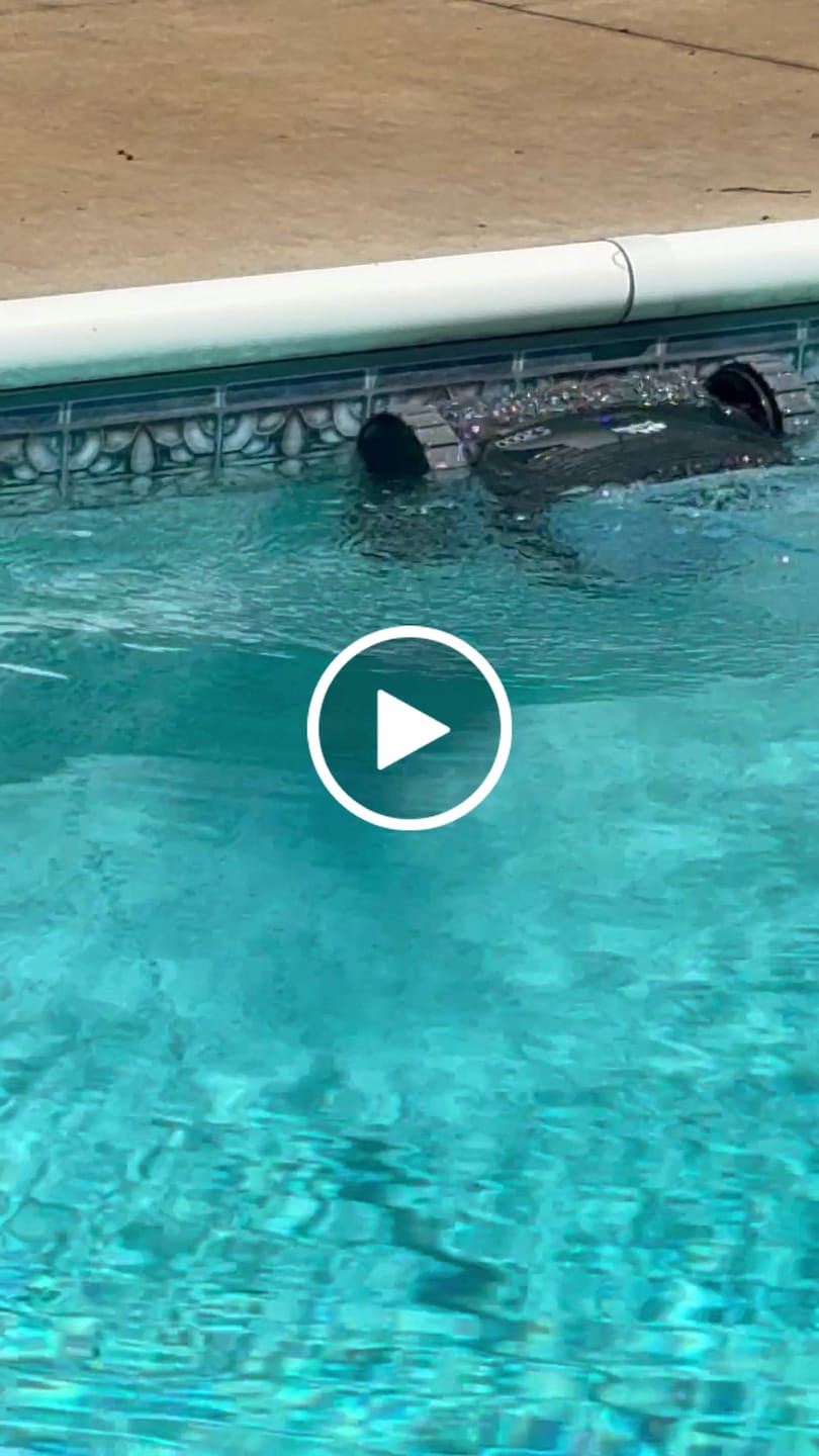 Customer video review of Dolphin S2000 Corded Robotic Pool Vacuum Maytronics