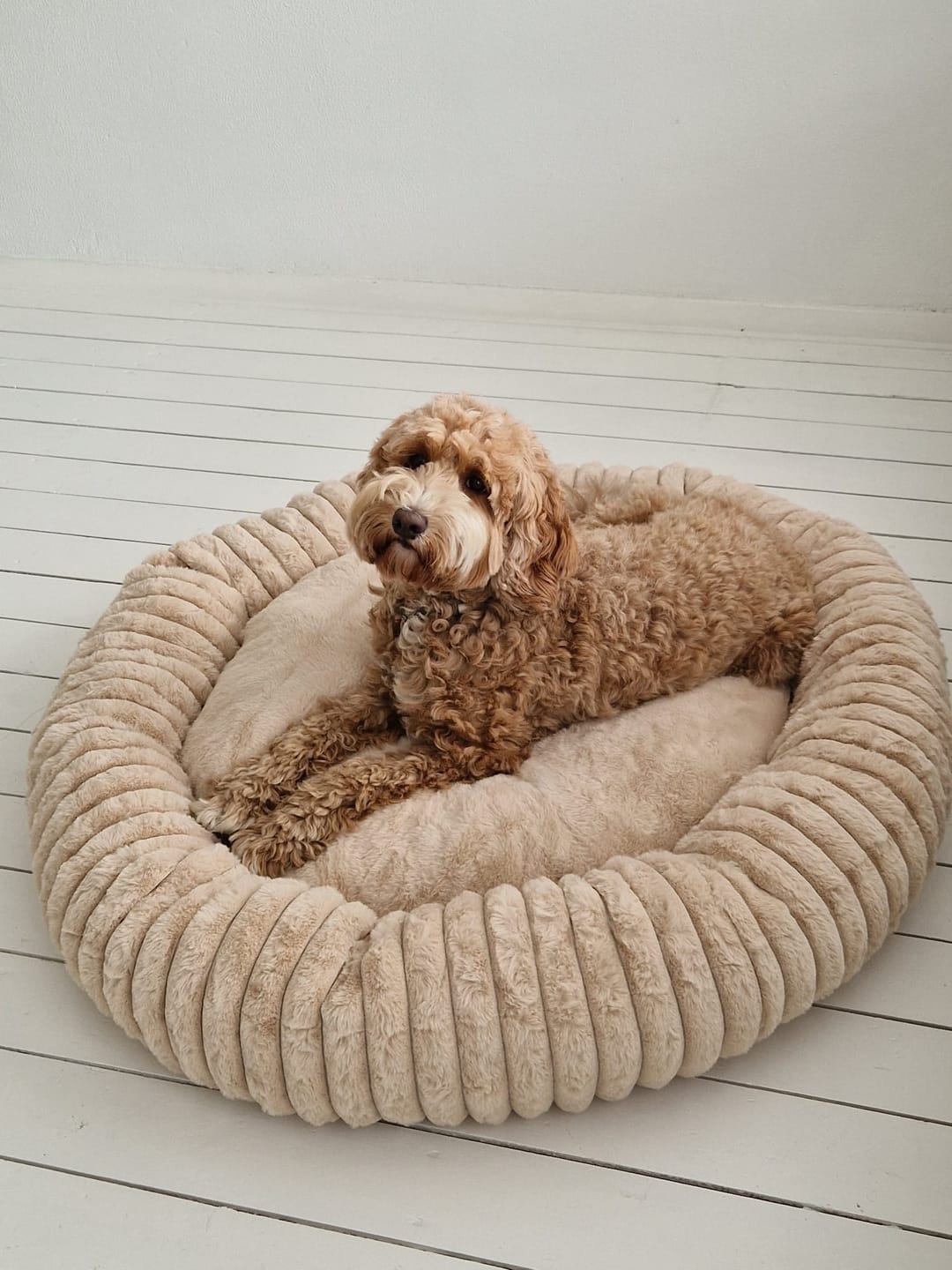 Customer photo review of Pet Perfect Hoes (ENKEL HOES) voor Orthopedische Donutmand - ZONDER VULLING