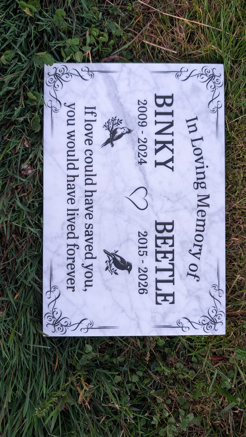 Customer photo review of Pet Grave Plaque Marble Marker, Pet headstones, Custom Outdoor Engraved Pet Stone In Loving Memory