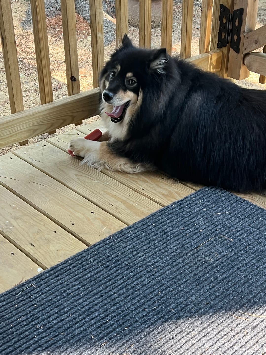 Customer photo review of Strawberry Yak Chew — Vitamin C, Fiber & Teeth Whitening