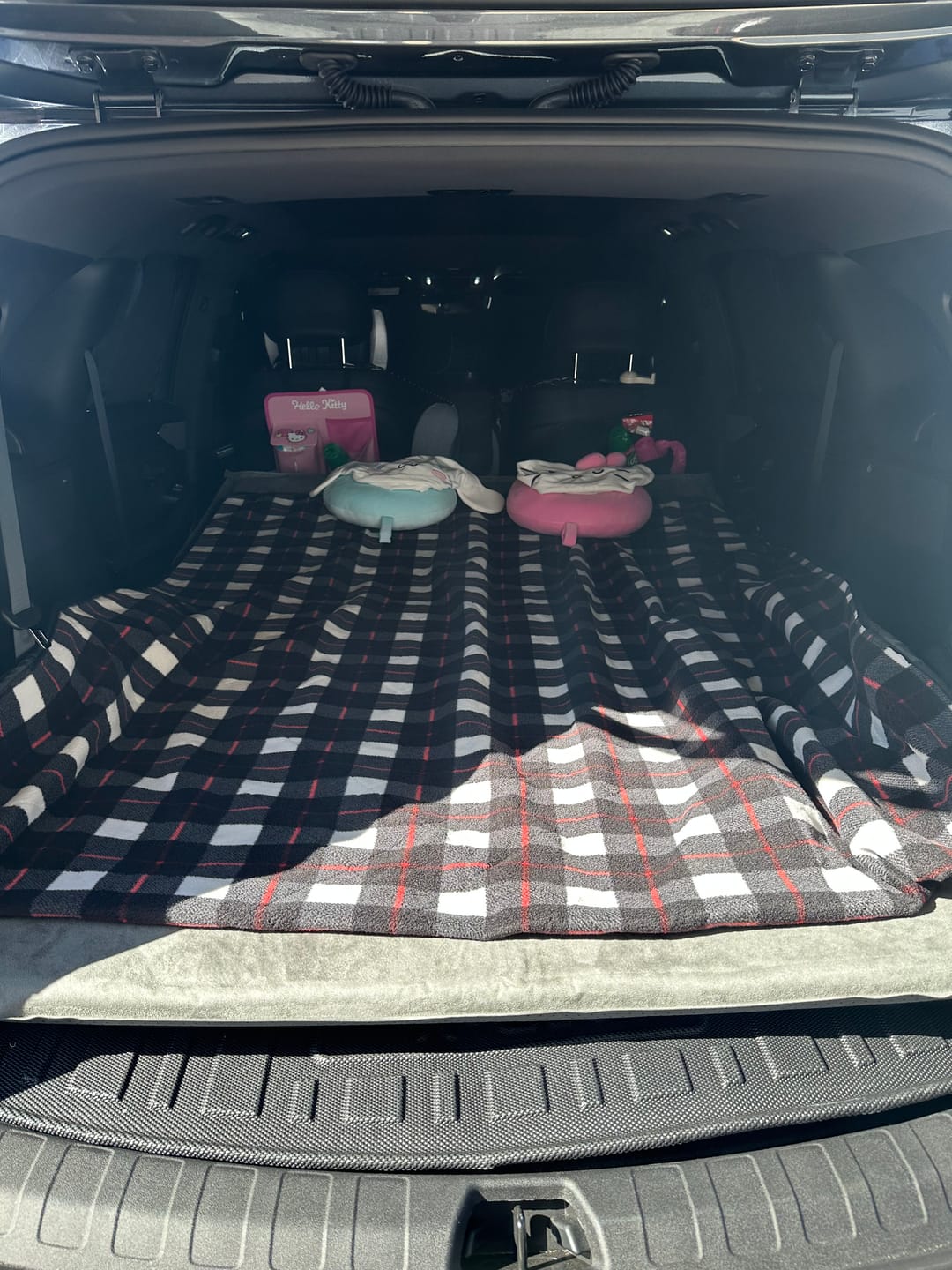 Customer photo review of Automatically Inflating Camping Mattress For BYD Sealion 8 (2026)