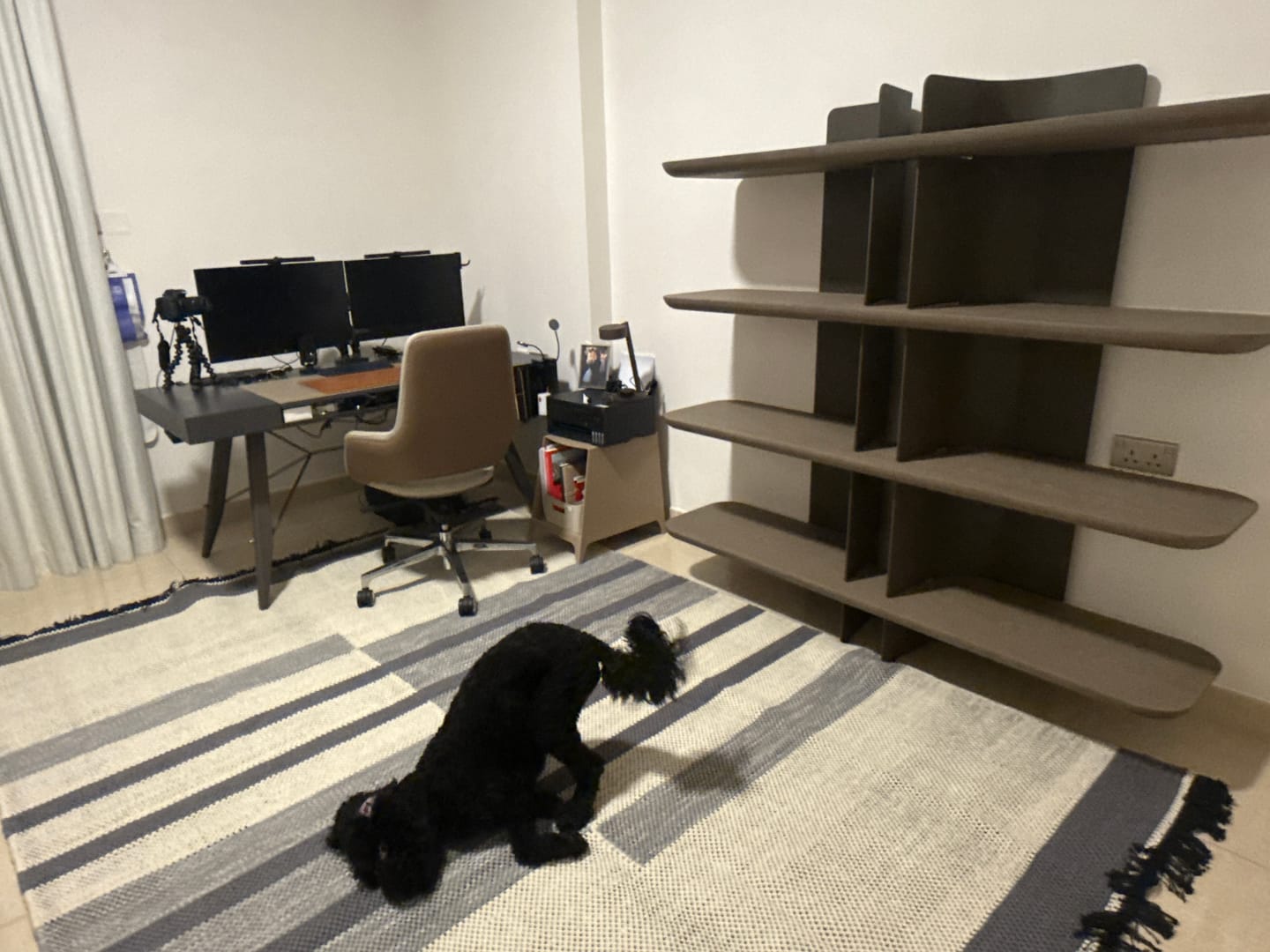 Customer photo review of Bold Bookshelf HM-BS007