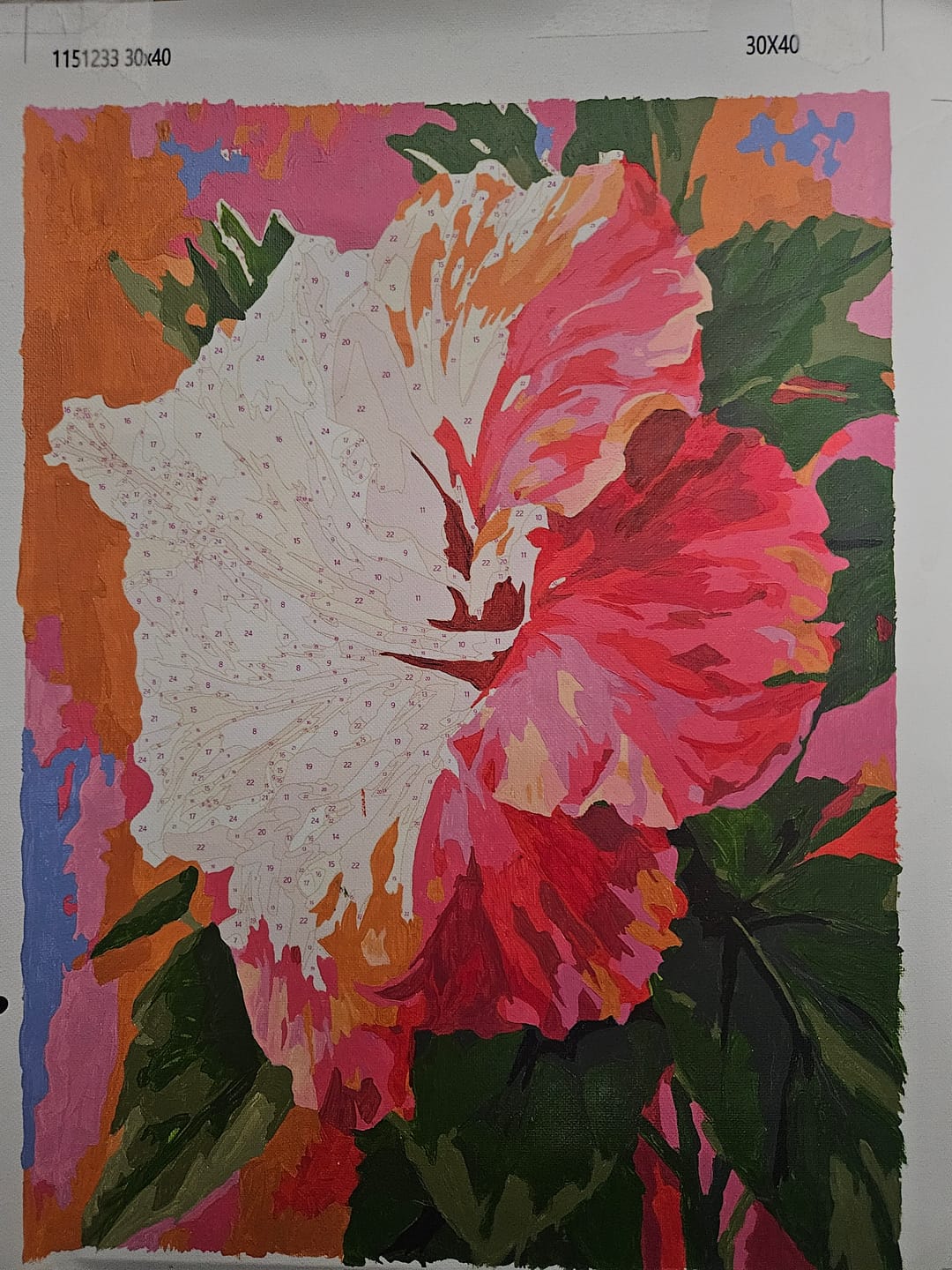 Customer photo review of Surprise Painting | Paint by Numbers