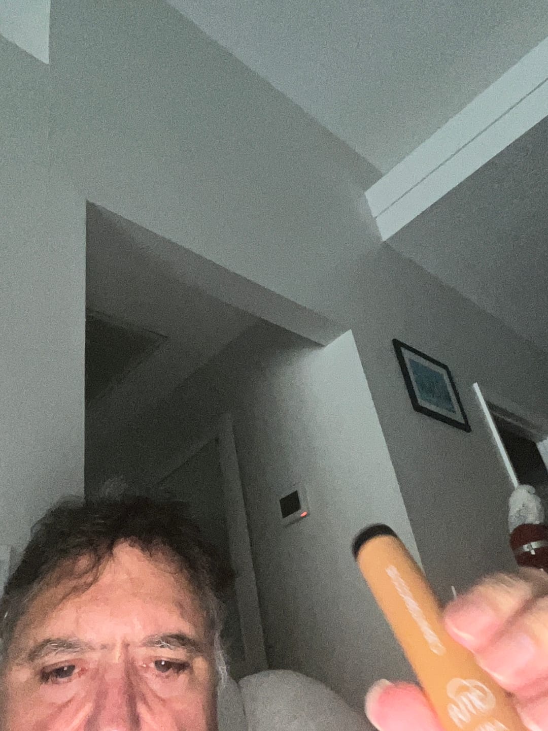 Customer photo review of Fume Extra 1500 Puffs