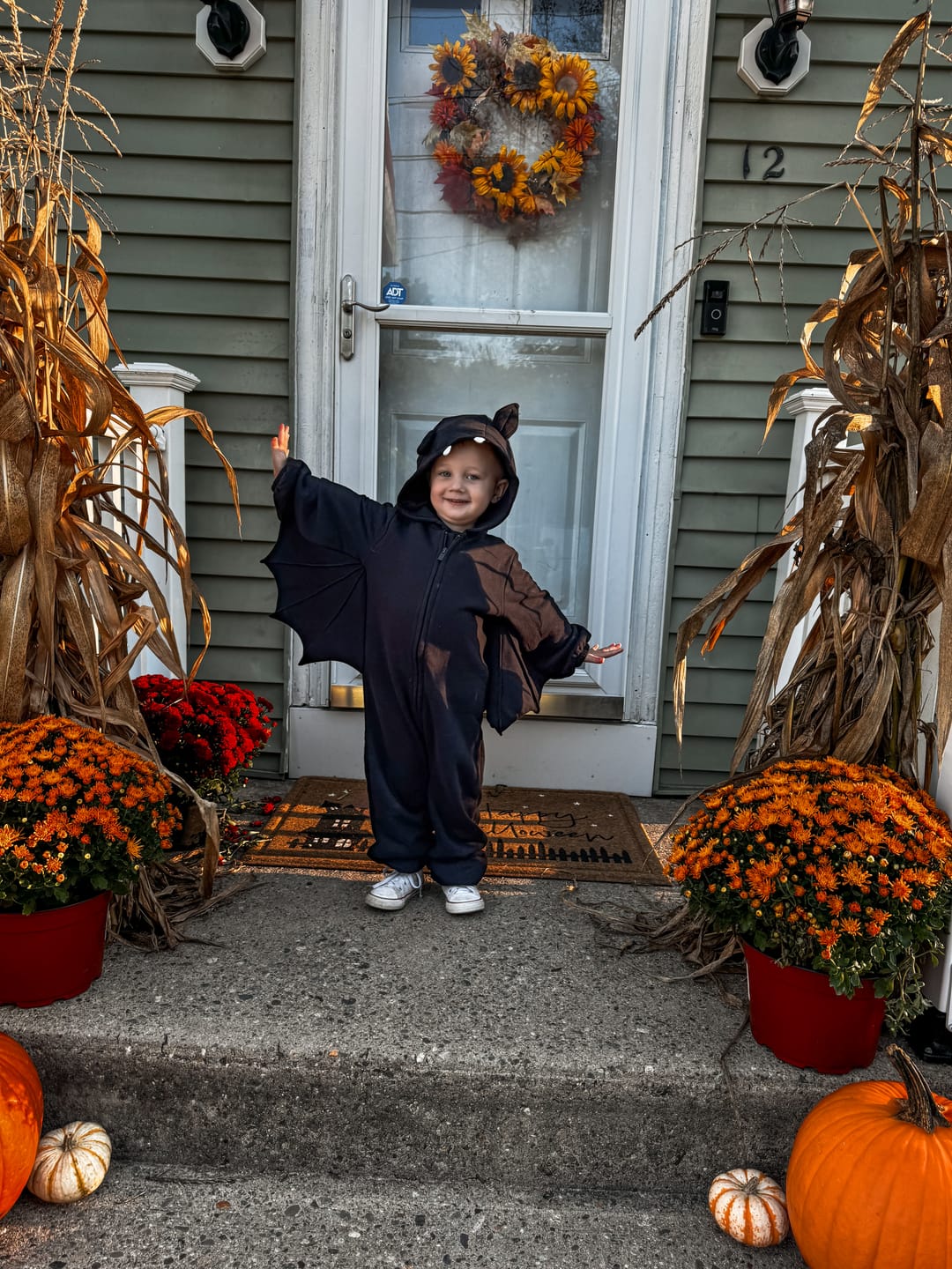Customer photo review of Honeycrisp Preset Collection