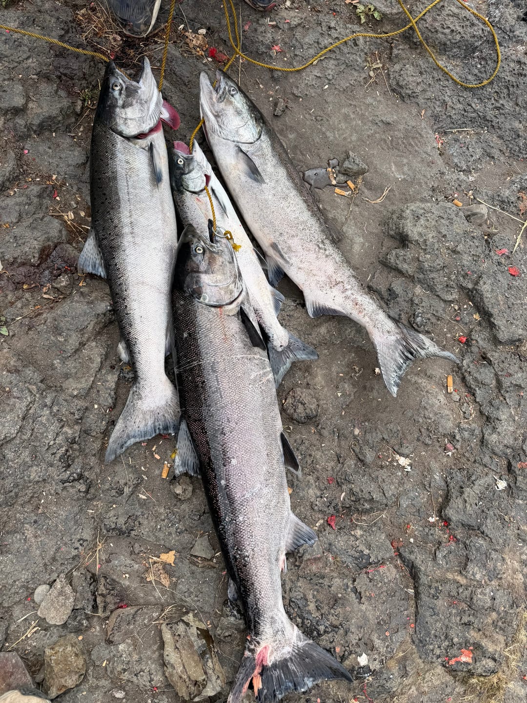 Customer photo review of Stealth SMX Floats