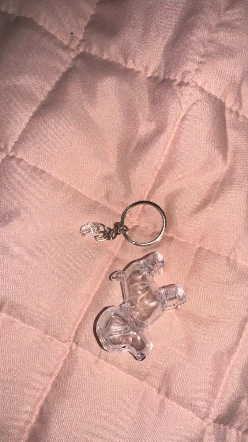 Customer photo review of Llavero GuardaPelito