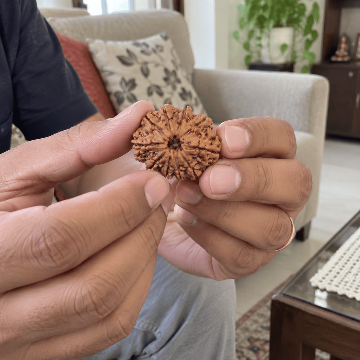 Customer photo review of 10 Mukhi Rudraksha (Nepali)