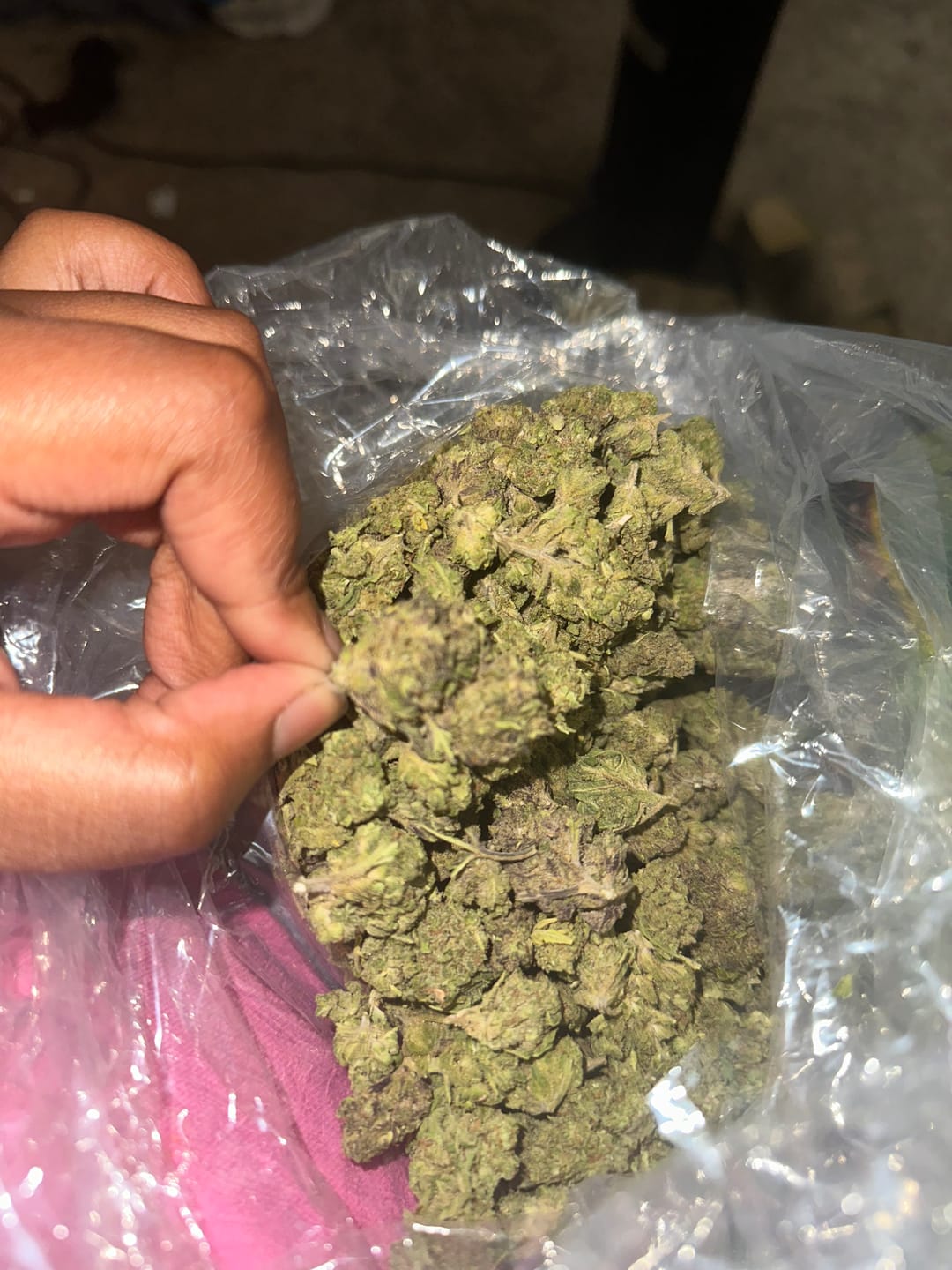 Customer photo review of Platinum Berry - Bulk - Hybrid