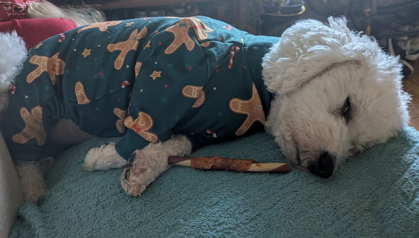 Customer photo review of Dog Christmas Pajama - Gingerbread Man
