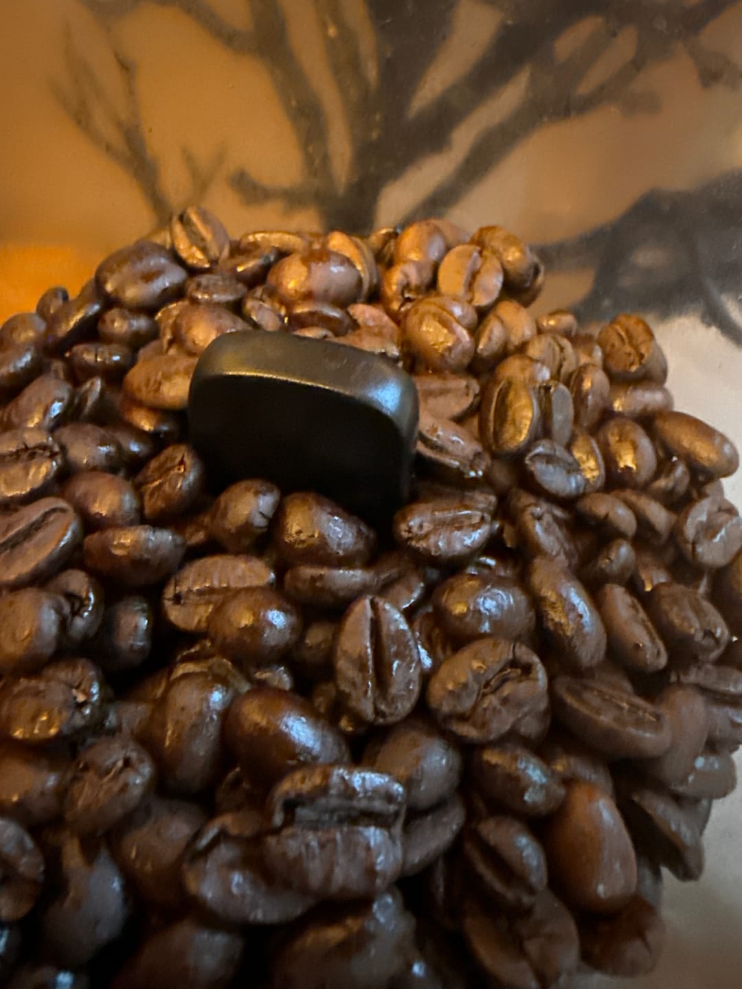 Customer photo review of Fierce™ - Highly Caffeinated Dark Roast