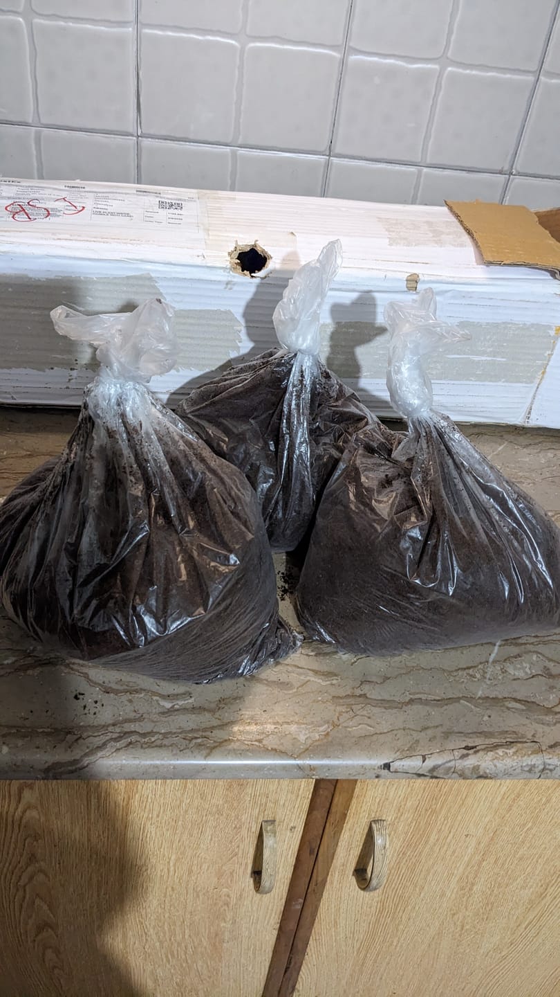 Customer photo review of Cocopeat