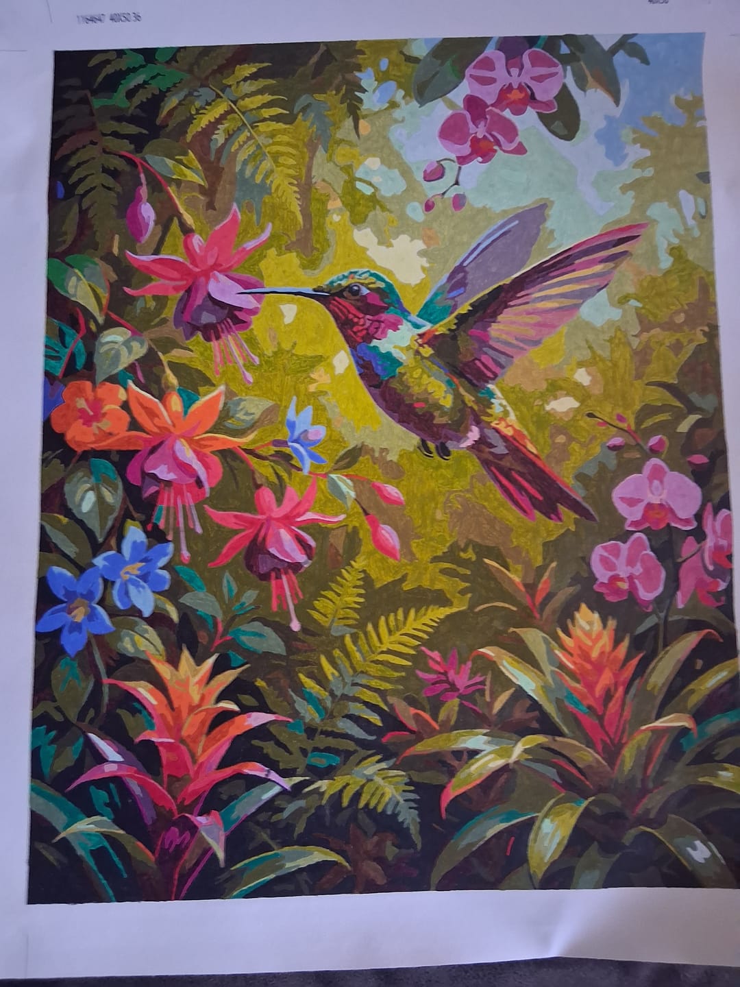 Customer photo review of Garden Jewel Hummingbird (Paint by Numbers)
